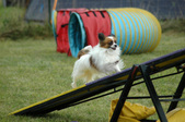 Enlarge photo 156
