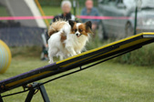 Enlarge photo 157