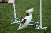 Enlarge photo 158