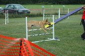 Enlarge photo 159
