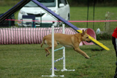 Enlarge photo 160