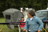 Enlarge photo 161