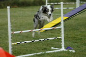 Enlarge photo 163