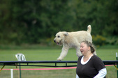 Enlarge photo 164