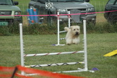 Enlarge photo 165