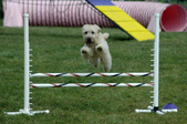 Enlarge photo 166