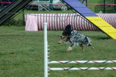 Enlarge photo 168