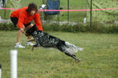 Enlarge photo 169