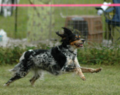 Enlarge photo 170
