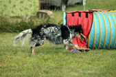 Enlarge photo 171