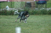 Enlarge photo 172