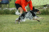 Enlarge photo 173