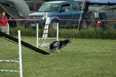 Enlarge photo 174