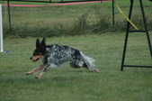 Enlarge photo 175