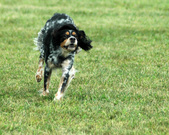 Enlarge photo 254