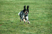 Enlarge photo 178