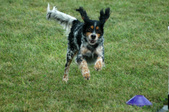 Enlarge photo 179