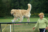 Enlarge photo 180