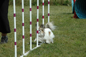 Enlarge photo 201