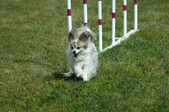 Enlarge photo 203