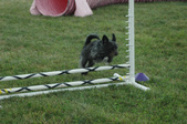 Enlarge photo 205