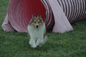 Enlarge photo 208