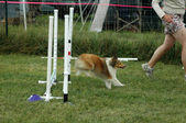 Enlarge photo 211