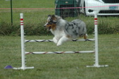 Enlarge photo 218