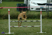 Enlarge photo 220