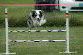 Enlarge photo 224