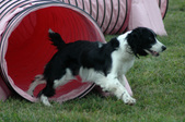 Enlarge photo 229