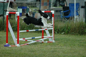 Enlarge photo 230