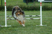Enlarge photo 231