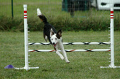 Enlarge photo 232