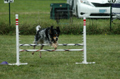Enlarge photo 234