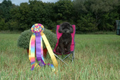 Enlarge photo 240