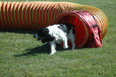 CPE Trail Plainfield Sept 4 2010