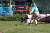 Enlarge photo 5