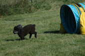 Enlarge photo 6