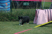 Enlarge photo 17
