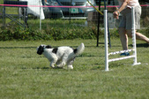 Enlarge photo 23