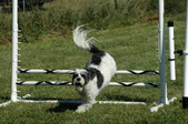 Enlarge photo 25