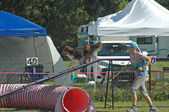 Enlarge photo 29