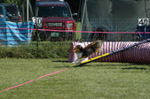 Enlarge photo 30