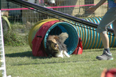 Enlarge photo 31