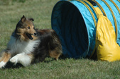 Enlarge photo 32