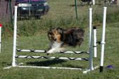 Enlarge photo 33
