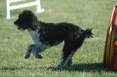 Enlarge photo 34