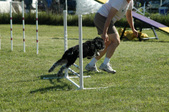 Enlarge photo 35