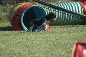 Enlarge photo 36